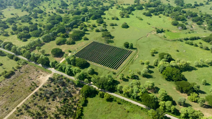Solar panels and surrounding fields at the Uruaco project
