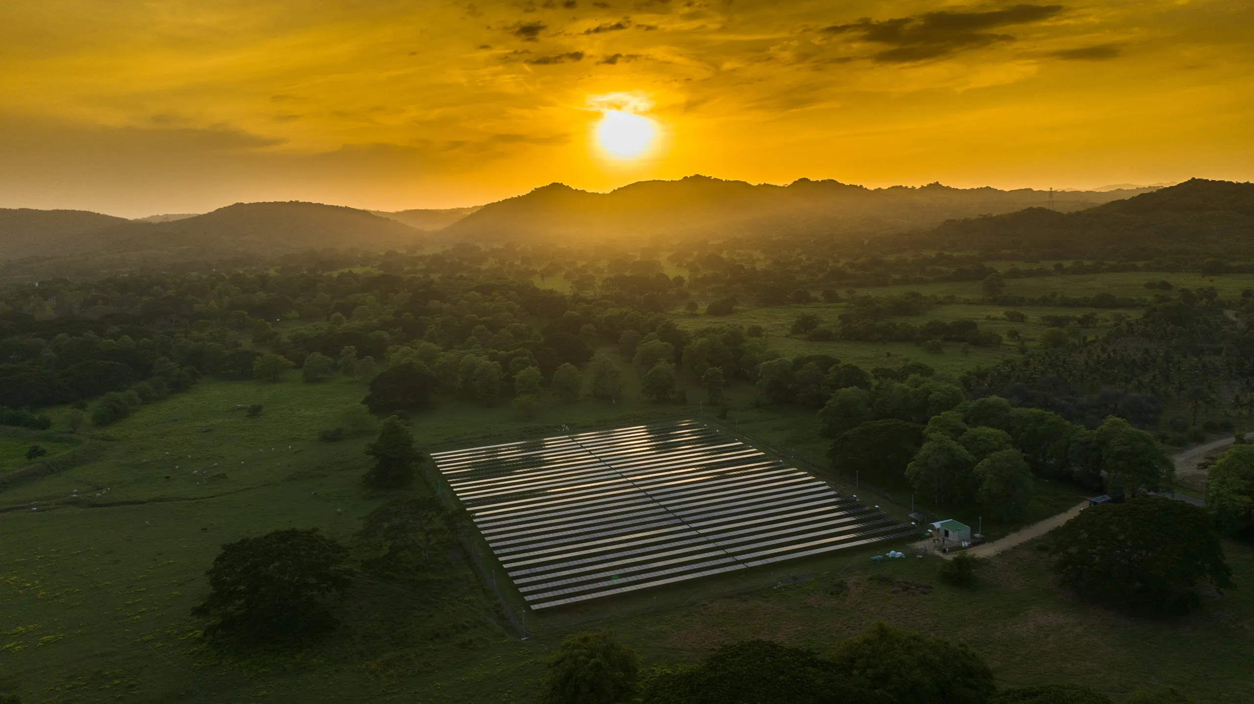 Aerial photograph of solar panels at Uruaco, surrounded by green hills in golden sunlight.